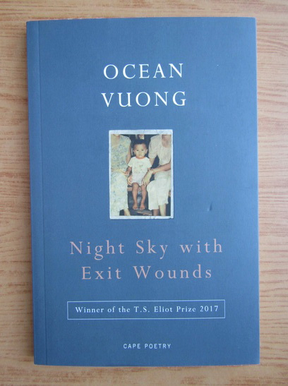 ocean vuong poems night sky with exit wounds
