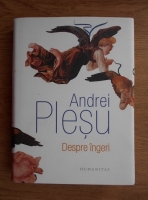 Andrei Plesu - Despre ingeri