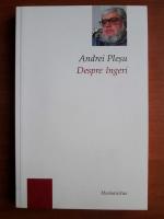 Andrei Plesu - Despre ingeri