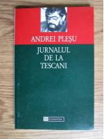 Andrei Plesu - Jurnalul de la Tescani