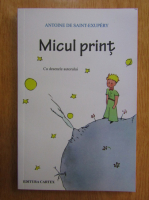 Antoine de Saint-Exupery - Micul print