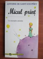 Antoine de Saint-Exupery - Micul print