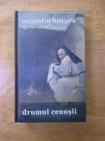 Augustin Buzura - Drumul cenusii