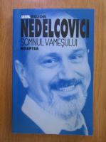 Bujor Nedelcovici - Somnul vamesului noaptea