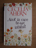 Cecelia Ahern - Anul in care te-am intalnit