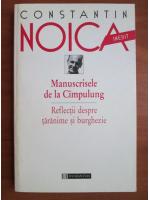 Constantin Noica - Manuscrisele de la Cimpulung. Reflectii despre taranime si burghezie