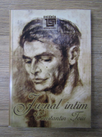 Constantin Toiu - Jurnal intim