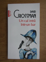 David Grossman - Un cal intra intr-un bar