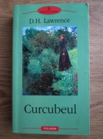 David Herbert Richards Lawrence - Curcubeul