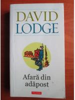 David Lodge - Afara din adapost