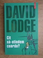 David Lodge - Cat sa-ntindem coarda?