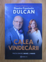 Dumitru Constantin Dulcan - Calea vindecarii