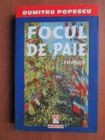 Dumitru Popescu - Focul de paie