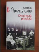 Gabriela Adamesteanu - Dimineata pierduta