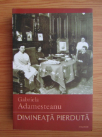 Gabriela Adamesteanu - Dimineata pierduta