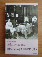 Gabriela Adamesteanu - Dimineata pierduta