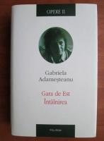 Gabriela Adamesteanu - Opere 2. Gara de Est. Intalnirea