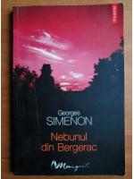 Georges Simenon - Nebunul din Bergerac