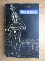 I. Peltz - Calea Vacaresti