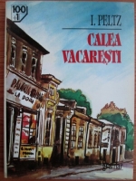 I. Peltz - Calea Vacaresti