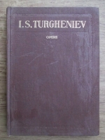 I. S. Turgheniev - Opere (volumul 7)