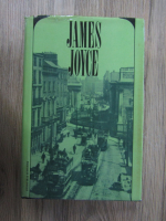 James Joyce - Dubliners. A portrait of the artist as a young man