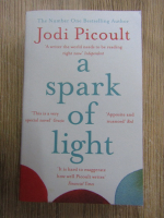 Jodi Picoult - A spark of light