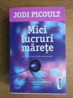 Jodi Picoult - Mici lucruri marete