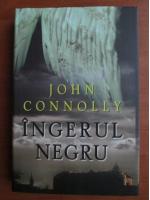 John Connolly - Ingerul negru