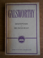 John Galsworthy - Desteptare de inchiriat