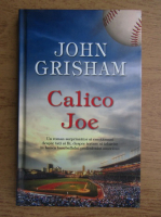 John Grisham - Calico Joe