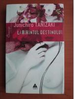 Junichiro Tanizaki - Labirintul destinului