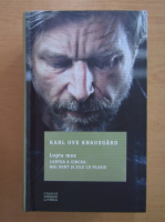 Karl Ove Knausgard - Lupta mea. Cartea a cincea: Mai sunt si zile cu ploaie