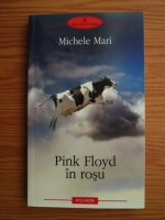 Michele Mari - Pink Floyd in rosu