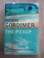 Nadine Gordimer - The pickup