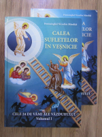 Nicodim Mandita - Calea sufletelor in vesnicie. Cele 24 de vami ale vazduhului (2 volume)