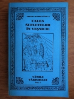 Nicodim Mandita - Calea sufletelor in vesnicie. Vamile vazduhului (volumul 1)