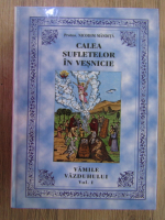 Nicodim Mandita - Calea sufletelor in vesnicie. Vamile vazduhului (volumul 1)