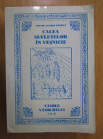 Nicodim Mandita - Calea sufletelor in vesnicie. Vamile vazduhului (volumul 2)