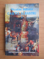 Nicolae Balota - Caietul albastru (volumul 2)