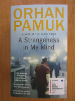 Orhan Pamuk - A Strangeness in My Mind