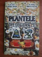 Ovidiu Bojor - Plantele medicinale de la A la Z