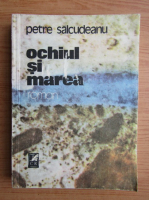 Petre Salcudeanu - Ochiul si marea