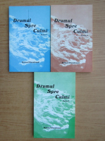 Richard Wurmbrand - Drumul spre culmi (3 volume)