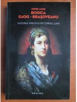 Rodica Ojog Brasoveanu - Vulturul dincolo de cornul lunii