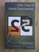 V. S. Ramachandran - A brief tour of human consciouness