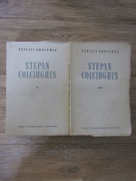 Vasili Grossman - Stepan Colciughin (2 volume)